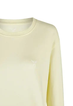 Sweater in solid pastel color